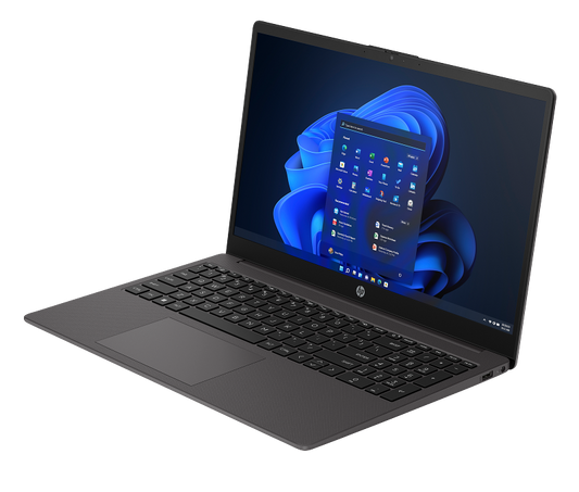 HP 250 G10